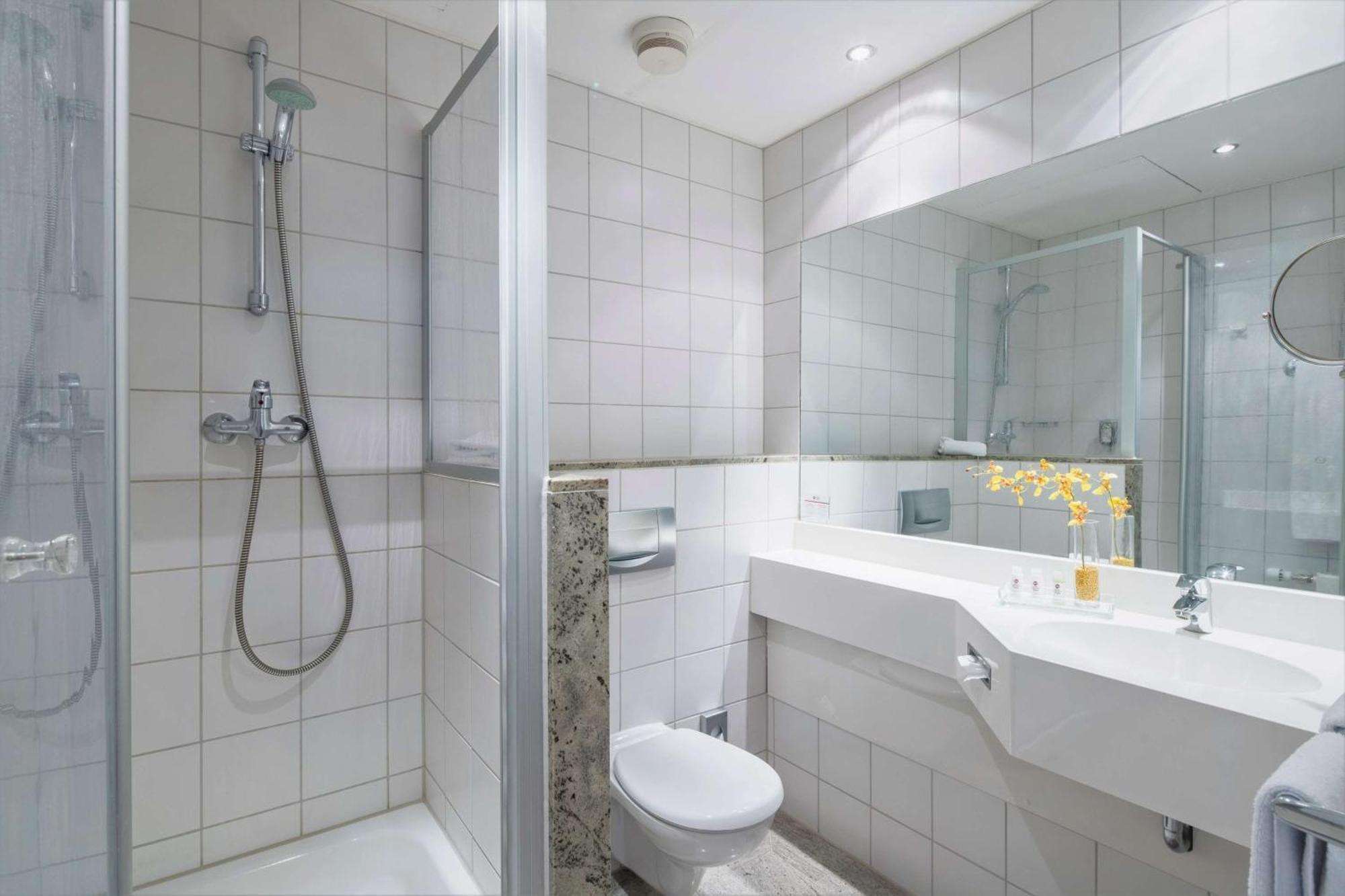 Hotel Western Excelsior 4*